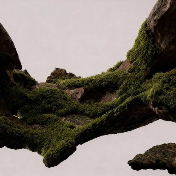 moss-wallpaper
